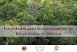 Prioridades para la conservación de los primates en México · 2014-06-13 · Los sitios prioritarios indican áreas en donde son más factibles las acciones de conservación que
