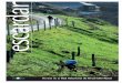 Número 18 - Red Asturiana De Desarrollo Rural Readerreaderasturias.org/wp-content/uploads/2017/04/escardar18-web.pdf · especie de cuadro perfecto, bucólico, de esa naturaleza necesaria