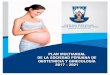 PLAN MULTIANUAL DE LA SOCIEDAD PERUANA DE … multianual SPOG... · 2017-11-13 · La Sociedad Peruana de Obstetricia y Ginecología - SPOG, tiene la noble misión de buscar soluciones
