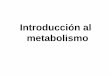 Introducción al metabolismodepa.fquim.unam.mx/amyd/archivero/3.2.METABOLISMOCONCEPT... · 2013-08-12 · Metabolismo • La suma de todas las transformaciones químicas que ocurren