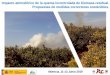Impacto atmosférico de la quema incontrolada de biomasa ...13/07/2016 Restos semi-seco de poda de naranjo 130 347 Impacto atmosférico de la quema incontrolada de biomasa residual