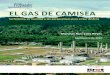 EL GAS DE CAMISEA - Propuesta Ciudadana€¦ · el gas de Camisea Este capítulo ofrece una mirada resumida del proceso seguido para desarrollar la extracción del gas de Camisea