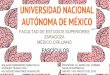UNIVERSIDAD NACIONAL AUTÓNOMA DE MÉXICO · 2018-08-30 · la motilidad cinética y la motilidad estática o postural. El término estática, hace referencia a la contracción sostenida