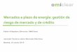 Mercados a plazo de energía: gestión de riesgo de mercado ... · OMIClear actúa como Cámara de Compensación y Contraparte Central (CCP), autorizada bajo EMIR para los productos
