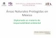 Áreas Naturales Protegidas en México¿Por que áreas naturales protegidas? • Conservación del capital natural (biodiversidad genética, especies, ecosistemas) • Mantenimiento