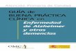 ESP 12/03 ARI 76 de Alzheimer GUÍA de BUENA …a-de...Atención Primaria de Calidad Guía de Buena Práctica Clínica en Enfermedad de Alzheimer y otras demencias Coordinadores Dr