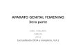 APARATO GENITAL FEMENINO 3era partefiles.patologia-hmc.webnode.com.ar/200000100-9be879ce13... · 2014-04-07 · estreptococos, estafilococos, enterococos y coliformes, así como el
