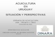 ACUICULTURA EN URUGUAY SITUACIÓN Y PERSPECTIVAS · Factores que favorecen el crecimiento de la Acuicultura . ... o Manejo del ciclo completo, producción y estudio técnico-económico