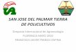 SAN JOSE DEL PALMAR TIERRA DE POLICULTIVOS · 2013-05-27 · maíz, el arroz de secano y el trigo de secano (Aiyer 1949). •Gran parte de la producción de los cultivos básicos