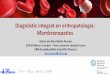 Diagnòstic integrat en eritropatologia: Membranopaties · 2019-12-16 · Diagnòstic integrat en eritropatologia: Membranopaties. María del Mar Mañú Pereira. Valld’Hebron campus