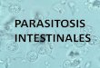 Dengue y Parasitosis intestinales - Fundación iofundacionio.org/docs/contenidos/contenidos_ii_curso_med...Neumonitis o Síndrome de Loeffler: causada por una reacción alérgica a