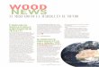 AITIM - OOD ES · 2015-03-30 · los precios orientativos de venta de madera estimados para el mes de diciembre pasado que le proporcio-nan industrias y productores galle-gos. Estima