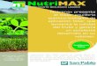 Nutrimax presenta el mejor equilibrio químico-biológico de …labsanpablo.com/attach/folleto-nutrimax-hjvhw3.pdf · 2018-04-27 · optimizar los resultados en cantidad (aumento