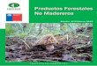 Boletín de PFNM · Patricio Chung G. Boletín de Productos Forestales No Madereros es una publicación trimestral que contiene las cifras más recientes de las exportaciones chilenas