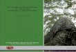 La caoba en la península de Yucatán: ecología y regeneración · 2011-08-15 · componente de ecología y regeneración de la caoba, sin embargo, la investiga ción completa abarca,
