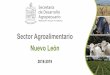 Sector Agroalimentario Nuevo León - Campo NLcampo.nl.gob.mx/pdf/documentos/Sector_Agrop_en_Cifras.pdfPRODUCTORES Marginación Alta 71.5% Media 17.6% Baja 10.9% 100% Características