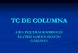 TC DE COLUMNA - amter.org · tc de columna aida piqueras rodriguez beatriz martin-benito gallego . anatomia de la columna vertebral ... protocolos columna cervical