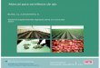 Ediciones · MANUAL PARA SEMILLEROS DE AJO Prologo Con el más absoluto convencimiento que la calidad de la “semilla” de ajo es la principal responsable de los altos rendimientos