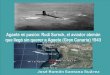 Agaete mi pasión: Rudi Sureck, el aviador alemán que llegó sin … · 2019-09-03 · Página 1 Agaete mi pasión: Rudi Sureck, el aviador alemán que llegó sin querer a Agaete