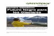 Campaña Clima Diciembre 2010 Cambio Climático: …greenpeace.org.ar/pdf/glaciares/cambio-climatico-futuro...efecto se mantiene la temperatura de la superficie terrestre y de la tropósfera