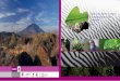 Análisis de vacíos y omisiones en conservación de la biodiversidad terrestre de … · 2009-04-09 · Impreso en México / Printed in Mexico Forma de citar: Conabio-Conanp-TnC-pronaTura-FCF,