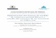 Optimización del sistema de medida de emisiones portátil Miveco …oa.upm.es/43405/1/TFG_FERNANDO_PAUNERO_RUIZ_DANA.pdf · 2016-09-30 · 5.4.1 Obtención de la presión diferencial
