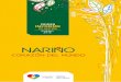 DE GESTIÓNaplicaciones.narino.gov.co/ACCESO/forms/reporte/Informes... · 2016-01-31 · Nariño Festivo es un proyecto que surge con el objetivo de promover el turismo regional y