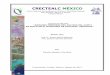 Proyecto de aplicación ANÁLISIS TEMPORAL DEL CULTIVO DEL ...crectealc.org/wp-content/uploads/2017/10/PROYECT_FINAL_CRECTE… · Conversión de ráster a polígono Arc ToolBox Corversion