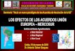 LOS EFECTOS DE LOS ACUERDOS UNIÓN EUROPEA – MERCOSURcejm.udl.cat/wp-content/.../01/...Mercosur-parte-1.pdf · DATOS SOBRE INTERCAMBIOS UE-MERCOSUR-4 • La UE es el principal socio