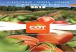ALBARICOQUE - CEREZA - CIRUELA Catálogo de fruta 2019 · ALBARICOQUE - CEREZA - CIRUELA. Variedad protegida. Multiplicación y difusión prohibidas sin la autorización de Cot International