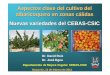 Aspectos clave del cultivo del albaricoquero en zonas ... · -NECESIDADES DE FRÍO INVERNAL-COMPATIBILIDAD FLORAL Y POLINIZACIÓN-RESISTENCIA A SHARKA-MANEJO AGRONÓMICO (Marcos de