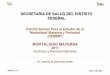 Comité Estatal Para el Estudio de la Mortalidad Materna y … · 2018-11-14 · Comité Estatal Para el Estudio de la Mortalidad Materna y Perinatal (CEMMP) México,(D.(F.( Enero18,2012