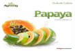 01 - Fagroestá la papaya maradol, la papaya amarilla, la roja y la amameyada. Fruta mexicana Es un fruto ovoide, más largo que ancho, casi cilíndrico, ... Aplicar en el riego, asegurarse