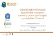 Disponibilidad de información espacial sobre ecosistemas ... · Fuentes de información nacional • Ecosistemas continentales, Costeros y Marinos de Colombia MEC 1:500.000 (2007)