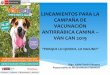LINEAMIENTOS PARA LA CAMPAÑA DE …...comunidad internacional para eliminar la rabia humana transmitida por los perros. En el año 2018 se logró vacunar 217 115 canes que representa