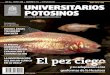 Editorial - Universidad Autónoma de San Luis Potosí · 2018-09-21 · Agosto de 2018 La Huasteca potosina es un sitio de gran diversidad en cuanto a flora y ... ambos en el municipio