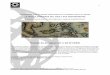Tratado de Zaragoza (17 a 22-IV-1529) - Sevilla 2019-2022sevilla.2019-2022.org/wp-content/uploads/2016/03/... · Tratado de Zaragoza (17 a 22-IV-1529) Documentos inicial y definitivo