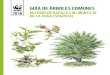 GUÍA DE ÁRBOLES COMUNESawsassets.wwf.es/downloads/guia_arboles_5.pdf · 2016-12-22 · 14 Guía de árboles comunes de Montejo de la Vega CARDO CORREDOR Eryngium campestre Planta