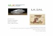 La sal - Biblioteca Virtual Seniorbibliotecavirtualsenior.es/wp-content/uploads/2019/06/La-sal.pdf · caminos en “caminos” de sal. En China empiezan a dejar algún documento escrito,