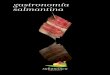 gastronomía salmantina · 2019-01-16 · y variada despensa de materias primas, en la que destacan reconocidos productos de calidad. Jamón y embutidos ibéricos, carnes de vacuno,