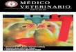 MÉDICO VETERINARIOcmvl.pe/wp-content/uploads/2018/02/Revista-CMVL-10-.pdf · Revista del Colegio Médico Veterinario Departamental de Lima del Colegio Médico Veterinario del Perú