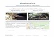 Informe de proyecto ejecutado Restauración de muros de ... · Informe final ꞏ Restauración de muros de piedra en seco en la Ruta dels Arbres en la Riera de Vallcàrquera 2 de