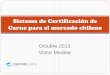 Sistema de Certificación de Carne para el mercado chileno carne Chile2.pdfDefinición de ganado bovino. Ternera: bovino hembra, en los cuales existen incisivos de leche en diferentes