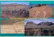 Discordancias - UNAMusuarios.geofisica.unam.mx/cecilia/cursos/Discordancias.pdf · DISCORDANCIA PARALELA NO EROSIONAL (Paraconformity). La superficie de erosión es difícilmente