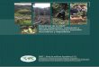 Directrices de la OIMT para la resturacion, …...2 Directrices de la OIMT para la restauración, ordenación y rehabilitación de bosques tropicales secundarios y degradados Organización