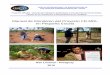 Manual de Monitoreo del Proyecto FR-MDL en Pequeña …...Cultivo y Praderas de Comunidades de Bajo Ingreso en el Departamento de Paraguari del Paraguay” que sirve de ejemplo para