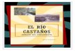 EL RÍO CASTAÑOS POBLAMIENTO - Ezagutu Barakaldoezagutubarakaldo.net/wp-content/uploads/06... · El río Castaños nace a 750 metros de altitud en la ladera norte del monte Eretza