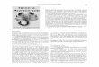 Genera Araneorum - SEAsea-entomologia.org/PDF/RIA_8/R08-030-179.pdf · relacionadas con los arácnidos (o los aracnólogos) e, incluso, cartas con sugerencias y opiniones de los suscriptores