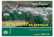 PRODUCCIÓN DE SEMILLAS DE CEBOLLA - CCBAT | Centro de ... · variedades locales, nunca de variedades comerciales La cebolla es una especie hortícola que se reproduce por semillas