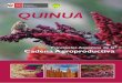 Cadena agroproductiva de la Quinua QUINUAagroaldia.minagri.gob.pe/.../agroeconomia_quinua.pdfCadena agroproductiva de la Quinua 5 PRESENTACIÓN La Asamblea General de las Naciones